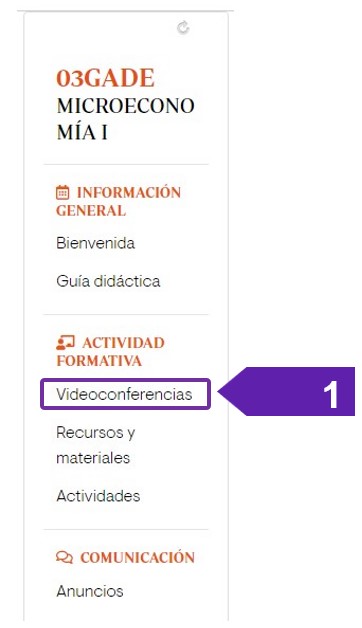 1._Videoconferencias.jpg